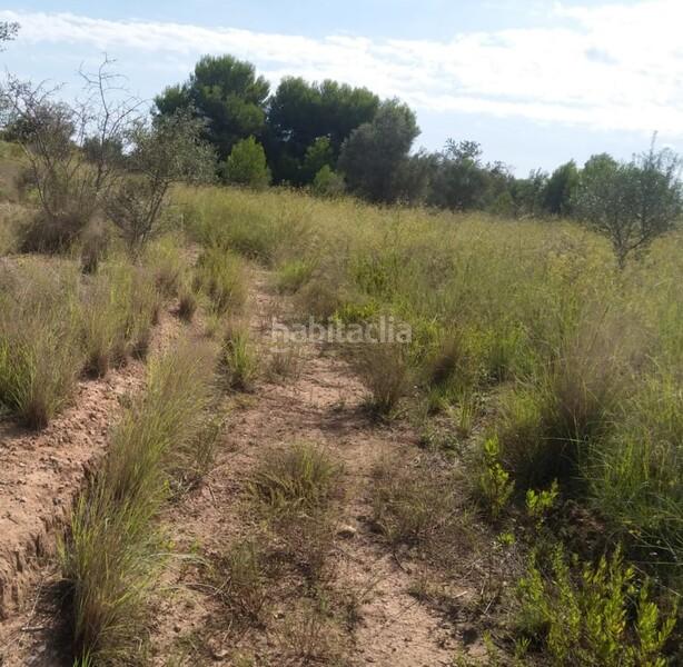Foto 186a4c28-78cf-4181-9058-8d1b256f1d90. Terrain résidentiel dans El Balcó-Jaume I Oropesa del Mar