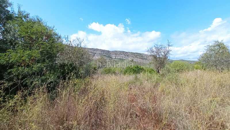 Foto 4d8a2839-084a-404f-b129-f501f515cf93. Terreno residenziale in El Balcó-Jaume I Oropesa del Mar
