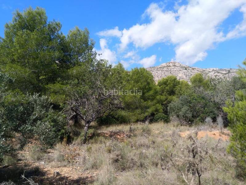 Foto 96b0accd-3757-4520-8165-e5bf5e67483d. Terrain résidentiel dans El Balcó-Jaume I Oropesa del Mar