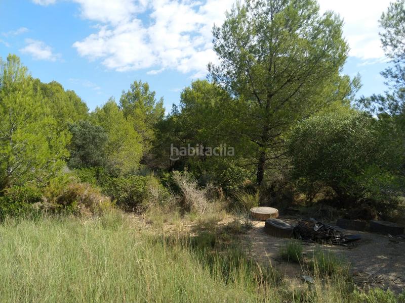 Foto 841e9a63-3ce2-4898-9a99-0efeaa56b7a5. Terrain résidentiel dans El Balcó-Jaume I Oropesa del Mar