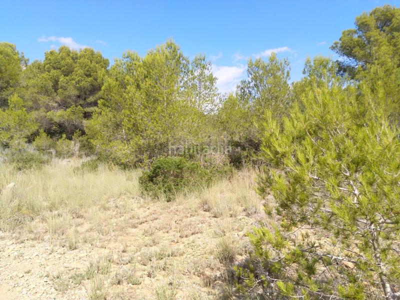 Foto baccde75-48c9-47e9-a245-2900118a6cab. Terrain résidentiel dans El Balcó-Jaume I Oropesa del Mar