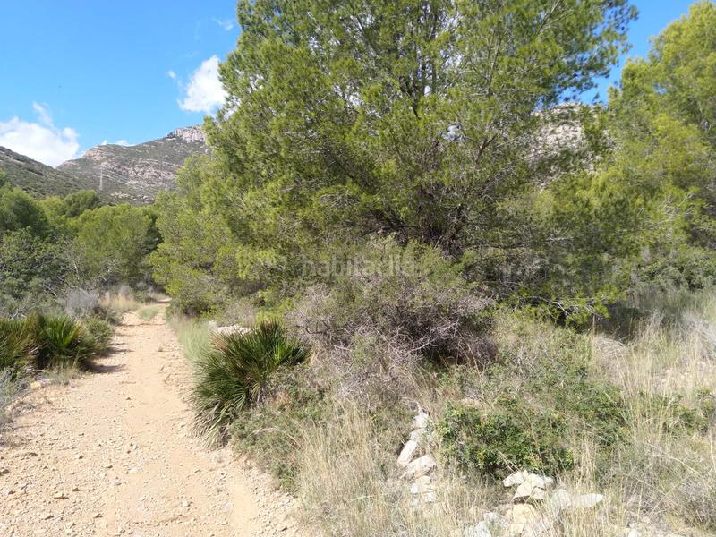Foto c4fd3a84-ed67-4204-9306-a3e3ec11f517. Terrain résidentiel dans El Balcó-Jaume I Oropesa del Mar