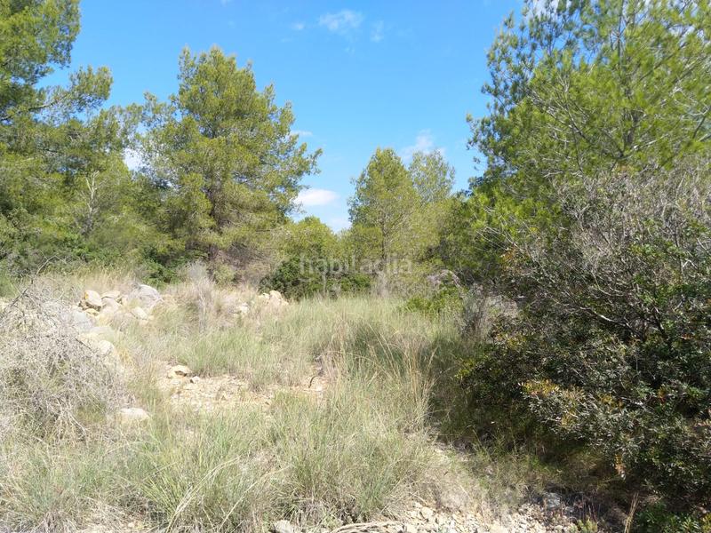 Foto df98c423-533a-42e3-b4f7-caa612594ca4. Terrain résidentiel dans El Balcó-Jaume I Oropesa del Mar