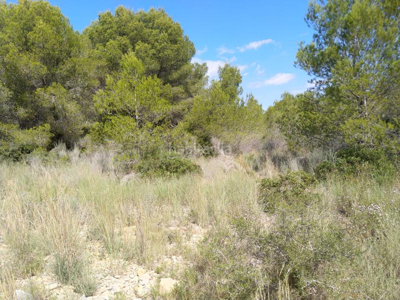 Foto 06b5142e-bb30-4cd2-a731-6a0f160017b9. Terreno residenziale in El Balcó-Jaume I Oropesa del Mar