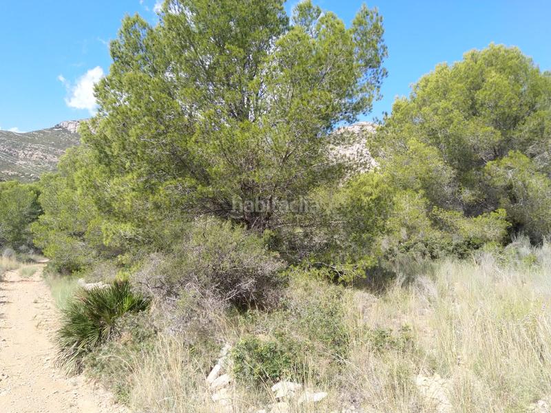 Foto 0e41e927-558b-455c-8357-e4fd8eea974c. Terreno residenziale in El Balcó-Jaume I Oropesa del Mar