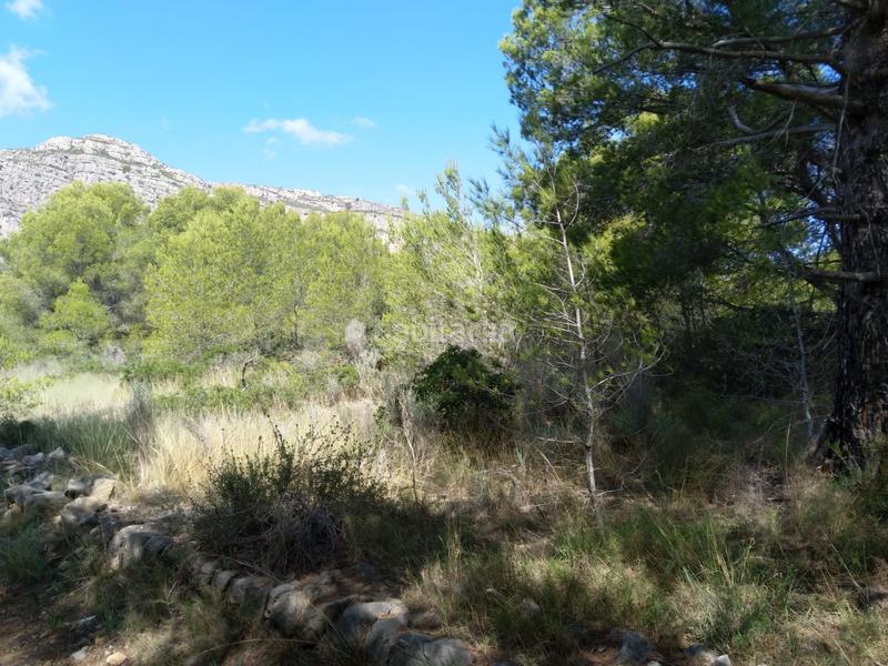 Foto 346575b3-5d0c-4360-af93-7168ebf8f264. Terreno residenziale in El Balcó-Jaume I Oropesa del Mar