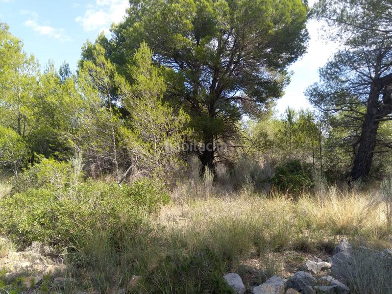 Foto 4391a1b9-3721-4bc1-af0a-52c69cebce23. Terreno residenziale in El Balcó-Jaume I Oropesa del Mar