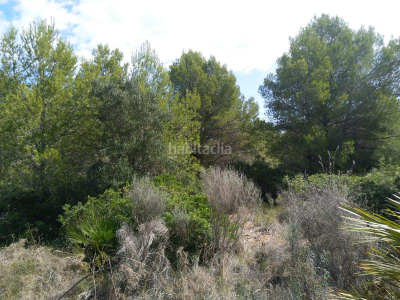 Foto 729e5ee4-51ef-4348-8337-8210868325ae. Terreno residenziale in El Balcó-Jaume I Oropesa del Mar