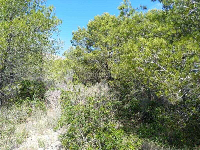 Foto 7a47a3f5-5330-4eb5-abf9-989d5cc5a3fc. Terreno residenziale in El Balcó-Jaume I Oropesa del Mar