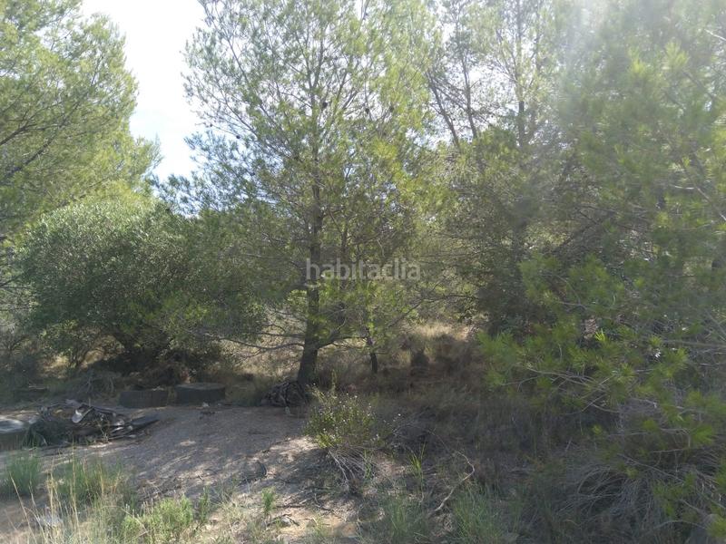 Foto a405f24f-a756-4395-8f28-689e979fb49d. Terreno residenziale in El Balcó-Jaume I Oropesa del Mar