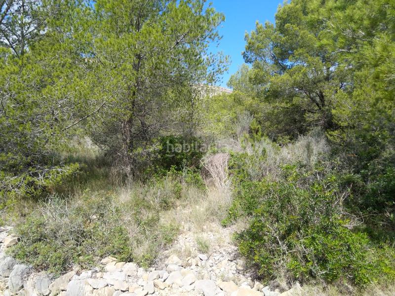 Foto a7ad2700-3e95-490c-941a-3ccccb7f3c50. Terreno residenziale in El Balcó-Jaume I Oropesa del Mar