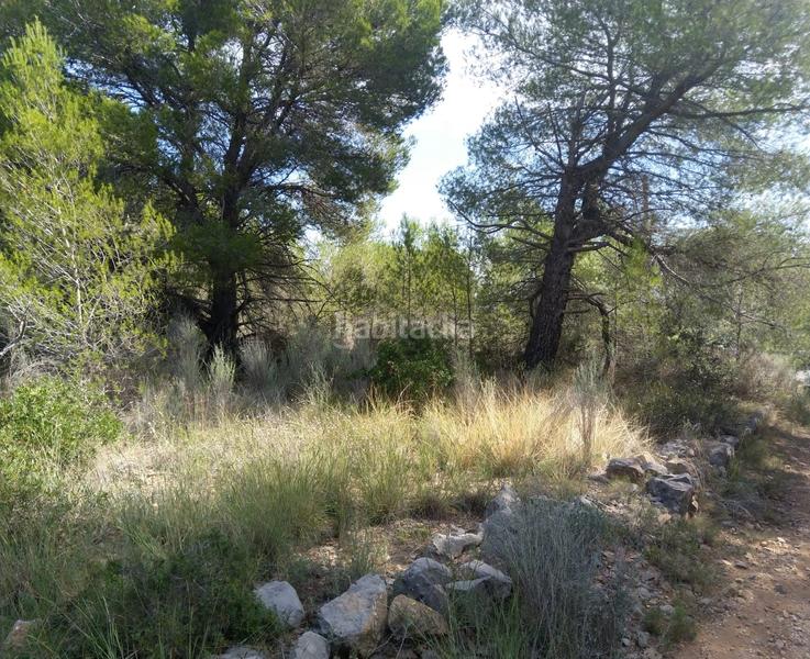 Foto e8050264-c401-416c-a386-cca523075ab4. Terreno residenziale in El Balcó-Jaume I Oropesa del Mar