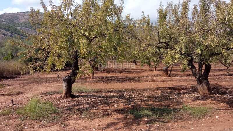Foto c5456636-dd85-46a3-b2cf-6651adff5154. Residential plot in El Balcó-Jaume I Oropesa del Mar