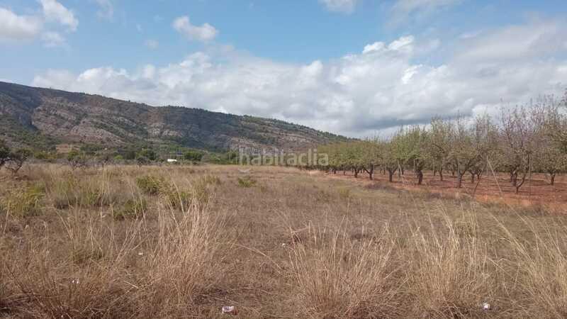 Foto d69ff7e4-a4ff-4c47-84ea-cd3ef237ff6f. Residential plot in El Balcó-Jaume I Oropesa del Mar