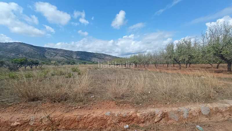 Foto 2787c223-7d3a-4e8b-b7a9-1daf0d29b09a. Terreno residenziale in El Balcó-Jaume I Oropesa del Mar