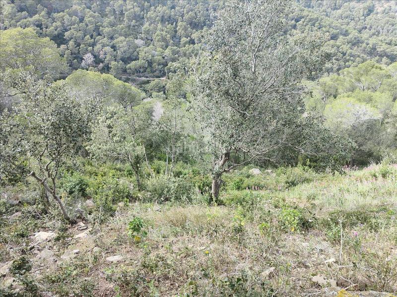 Foto 463dab4e-1b09-48e3-921e-3ddd1889a689. Wohngrundstück in Aiguafreda-Sa Tuna Begur