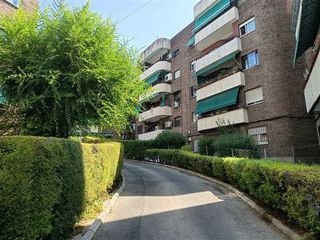 Pis  Urb. gran habitat
