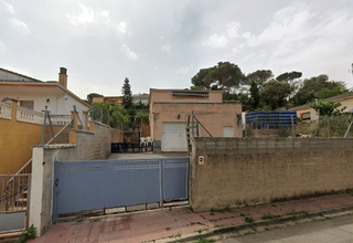 Haus  Dels eucaliptus