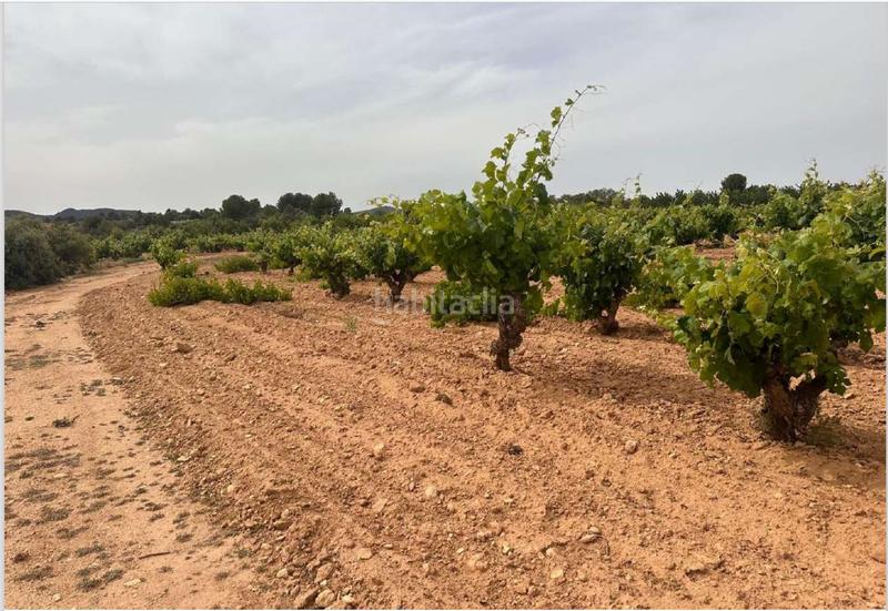 Foto 18ee88fe-9013-40b5-915b-5b35d1a36360. Terreno residencial en Utiel