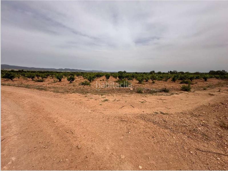 Foto 36f8af0f-f953-4a08-b44b-bccaf8bc10d0. Terreno residencial en Utiel