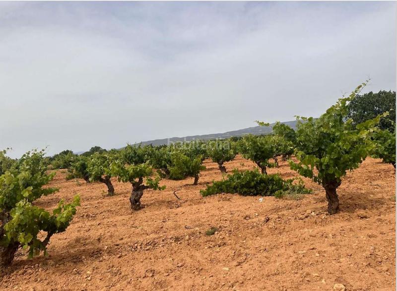 Foto 701eda04-4eda-4fc6-89aa-ae58db500fe2. Terreno residencial en Utiel