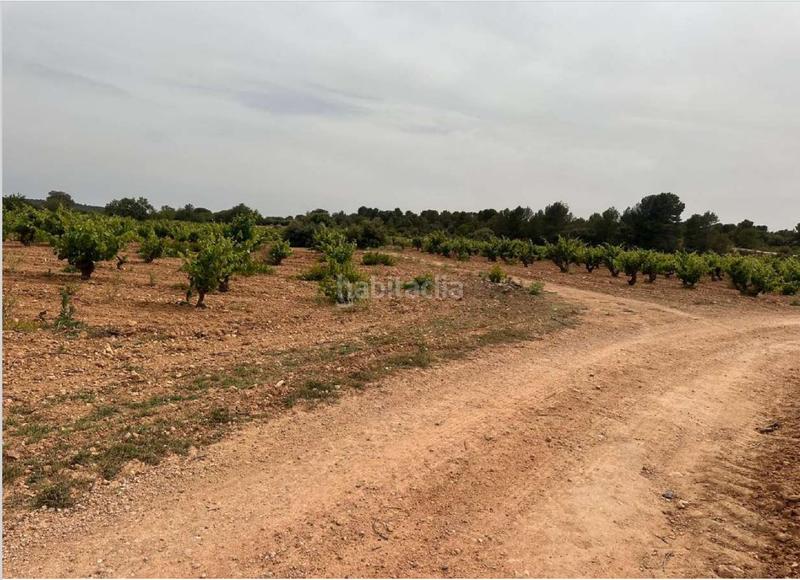 Foto 95a28096-95ad-47aa-a9e0-6d125fc4da7b. Terreno residencial en Utiel