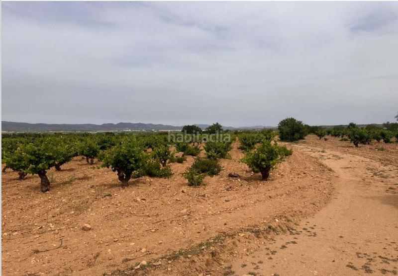 Foto c66578e3-c174-40c6-a716-9622ff641e65. Terreno residencial en Utiel