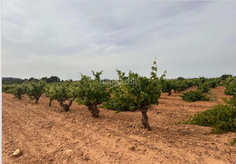 Foto dcc85f2f-02af-43cc-8343-f3222267ec2f. Terreno residencial en Utiel