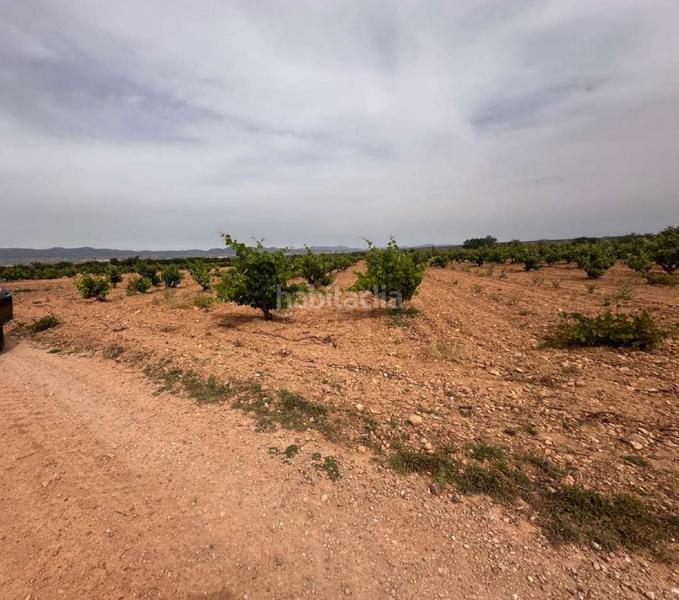 Foto e9109dfb-f827-4271-aea8-aa018e52f51d. Terreno residencial en Utiel