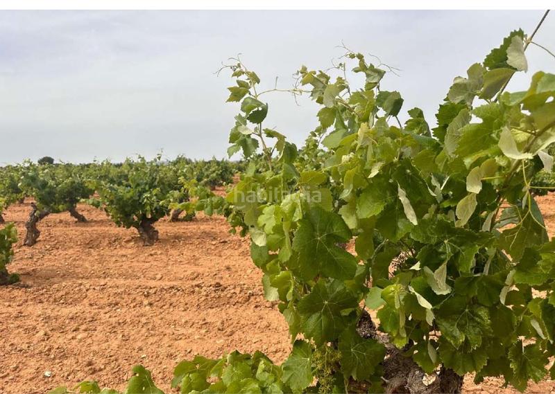 Foto f339981d-a5ff-464f-a644-9fb017994725. Terreno residencial en Utiel