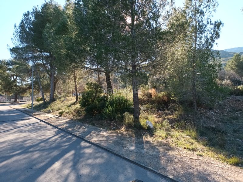 Foto 128e578a-25ba-41b9-a712-1e79fbe50cd5. Terreny residencial a Macastre