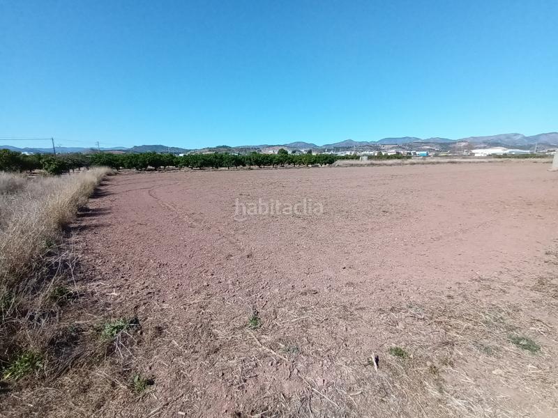 Foto 62f19da1-c060-4c21-b419-3fe10349a09e. Terrain résidentiel dans Chilches