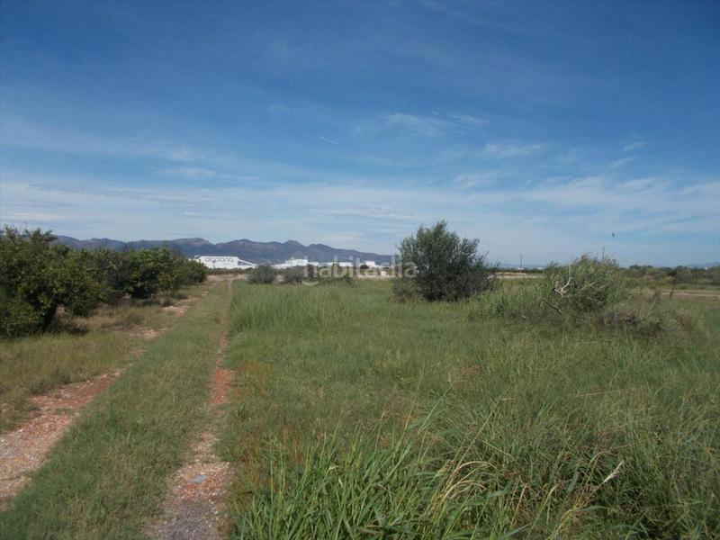 Foto 6e691e20-3cfa-4c1e-84cc-a4706080f374. Terrain résidentiel dans Chilches