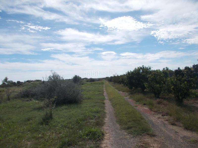 Foto a1512e47-ef0c-4580-8ab0-2586f627e610. Terrain résidentiel dans Chilches