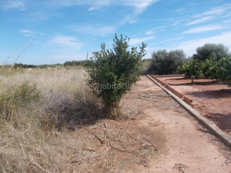 Foto 4baa4c57-7ecb-44d9-baec-89e1e63f974a. Terrain résidentiel dans Chilches