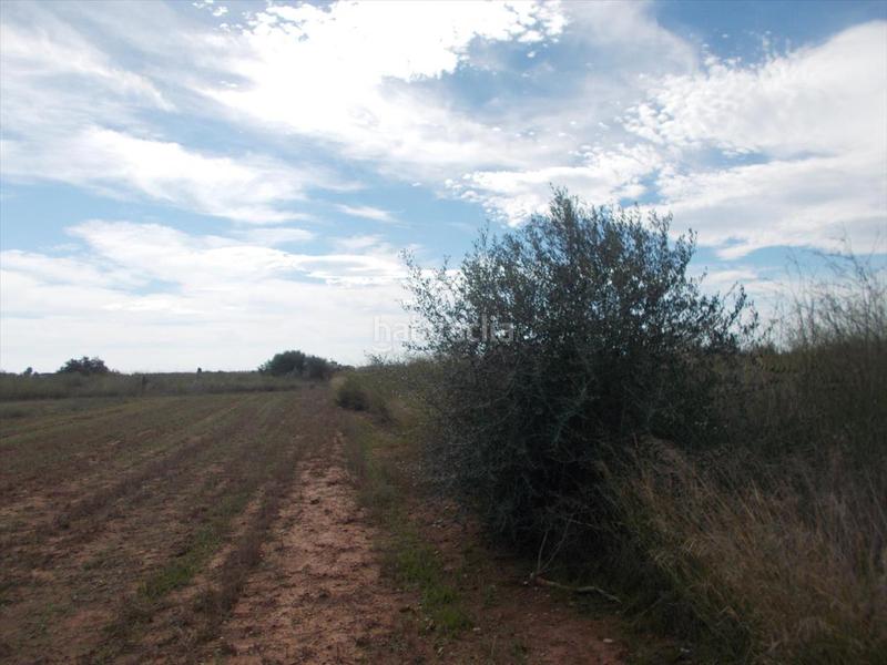 Foto b41590a3-7895-465d-8a29-bd13d836c93e. Terrain résidentiel dans Chilches