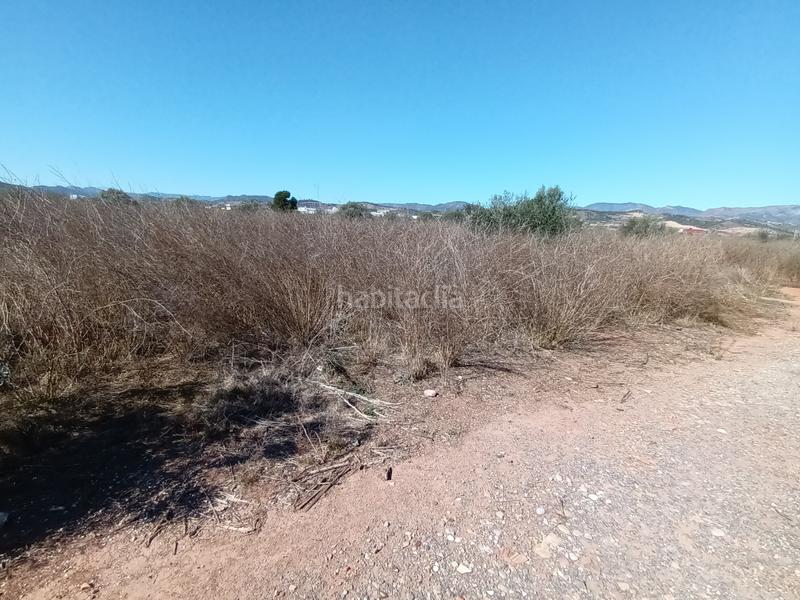 Foto 562fd5ec-7a24-4c33-9d74-845ae3220807. Wohngrundstück in Chilches