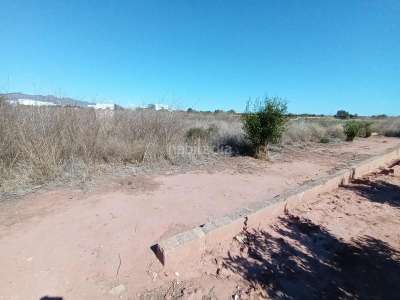 Foto d533b487-8f1a-47c0-a1bf-25a6f53885fc. Wohngrundstück in Chilches