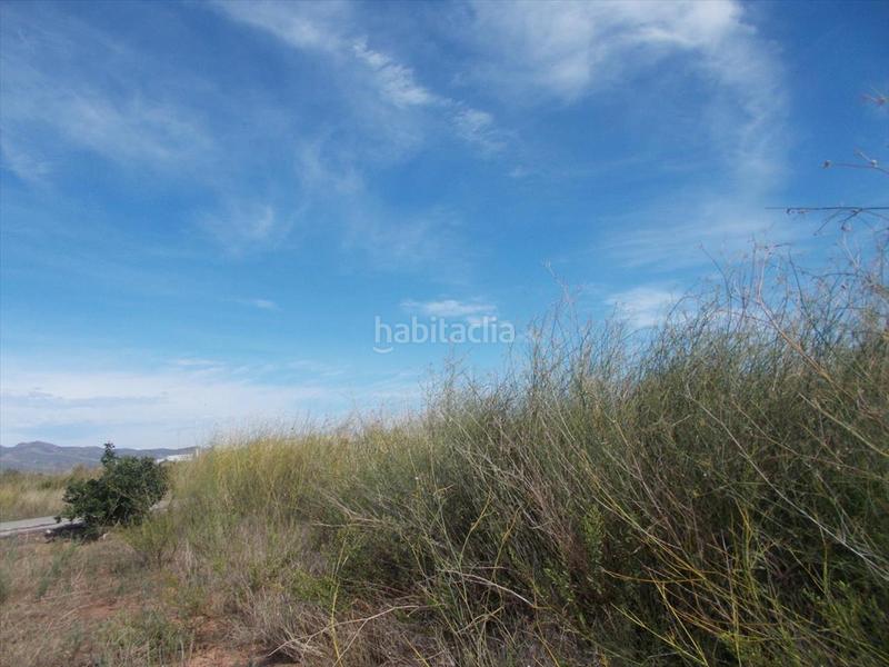 Foto 3380a0e4-833f-435d-a939-58c7ee220601. Terreno residencial en Chilches