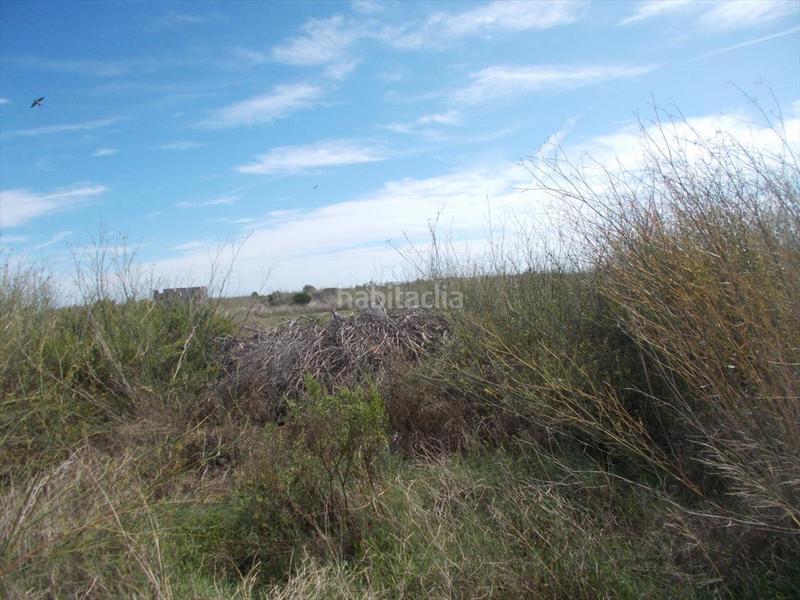 Foto 358580a3-8ccd-4e2c-b26c-c6875c8765fc. Terreno residencial en Chilches