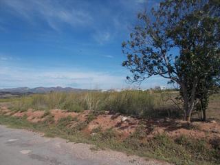 Terreny residencial  Proc. simplificado