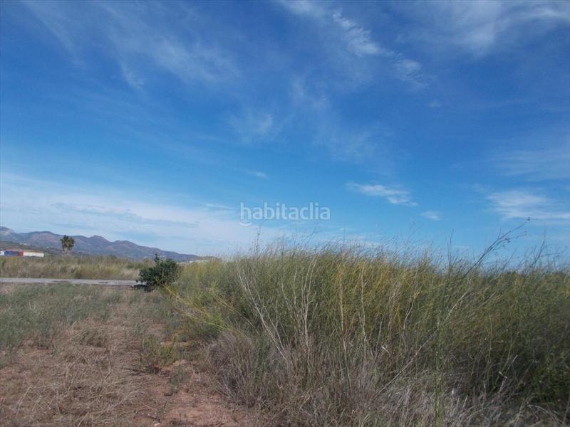 Foto 8fe65e5c-c53b-4b3e-93e5-ea8964304321. Terreno residenziale in Chilches