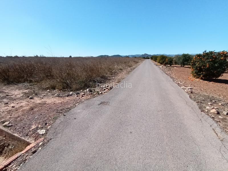 Foto 392c38b8-4137-4402-8eae-c35d5a55a23b. Residential plot in Chilches