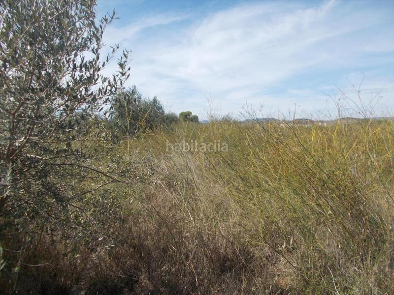 Foto 6a4f3190-5c73-4578-9d1b-53d8415afa60. Residential plot in Chilches