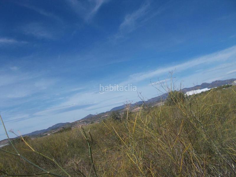 Foto 9945663f-5df3-4505-bbff-2f17ed5852bb. Residential plot in Chilches