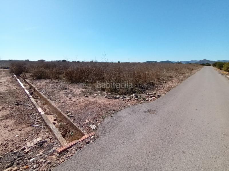 Foto 9e8e83dc-80b2-4d2f-8c97-37dc6f03385e. Residential plot in Chilches