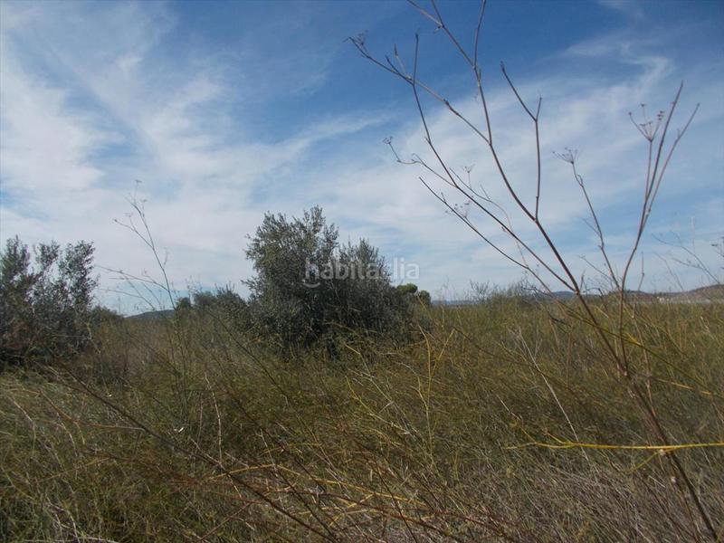 Foto bcf4d773-b94a-49e7-adaf-04ce74f20754. Residential plot in Chilches