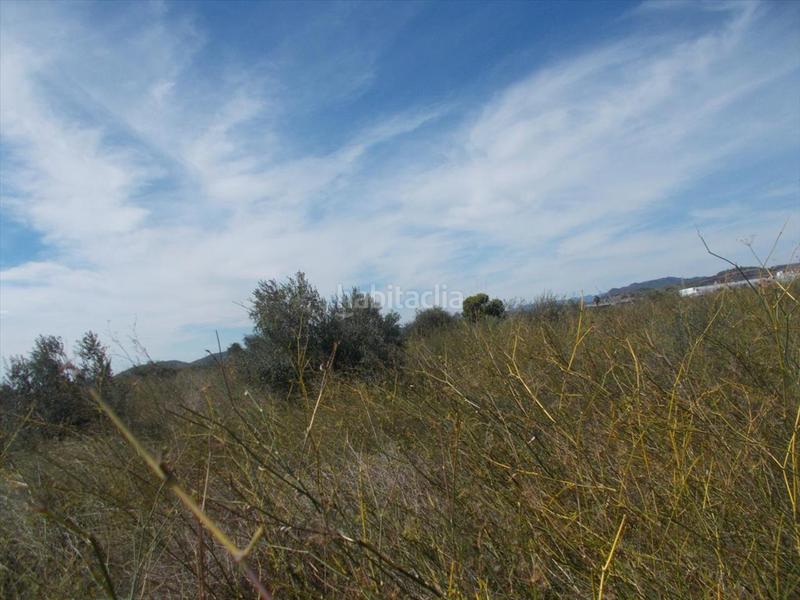 Foto c7cb8160-12c8-422d-894e-c6b29f04b731. Residential plot in Chilches