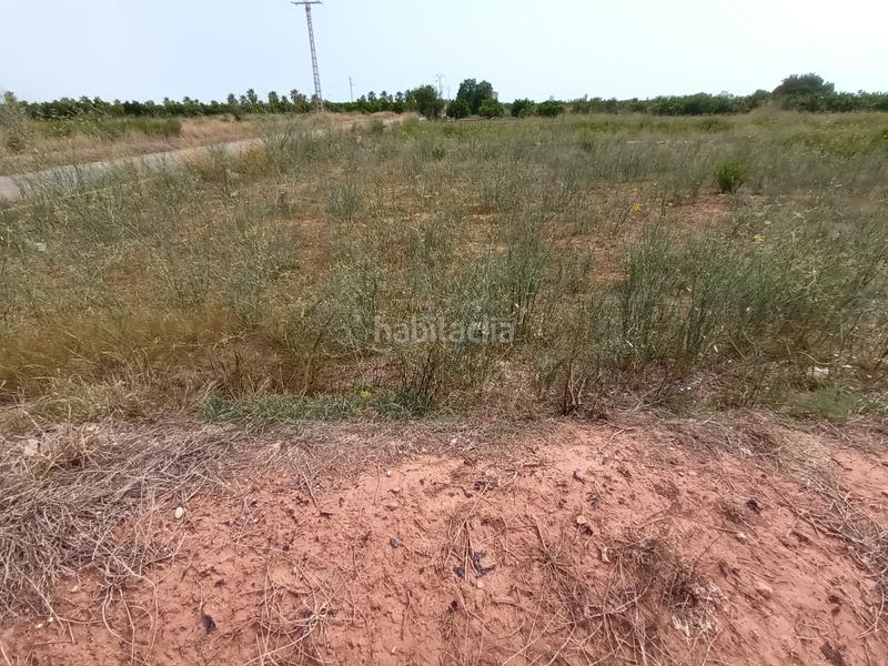 Foto fdfc3875-45a2-4643-aa2d-a2db8175fefd. Residential plot in Chilches