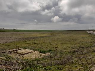 Terreno residenziale  Proc. simplificado